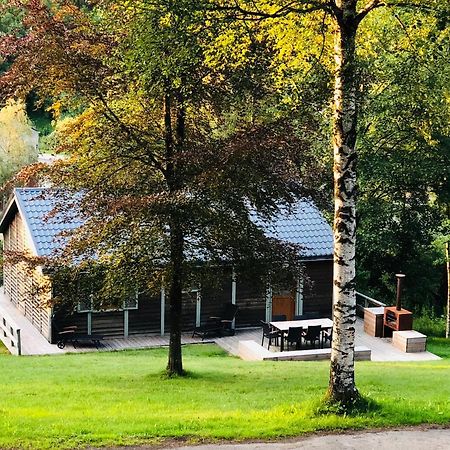 Fwv Chalet 2 Le Scandinave Бюллинген Экстерьер фото