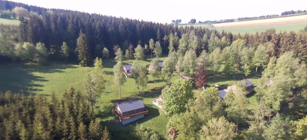 Fwv Chalet 2 Le Scandinave Бюллинген Экстерьер фото