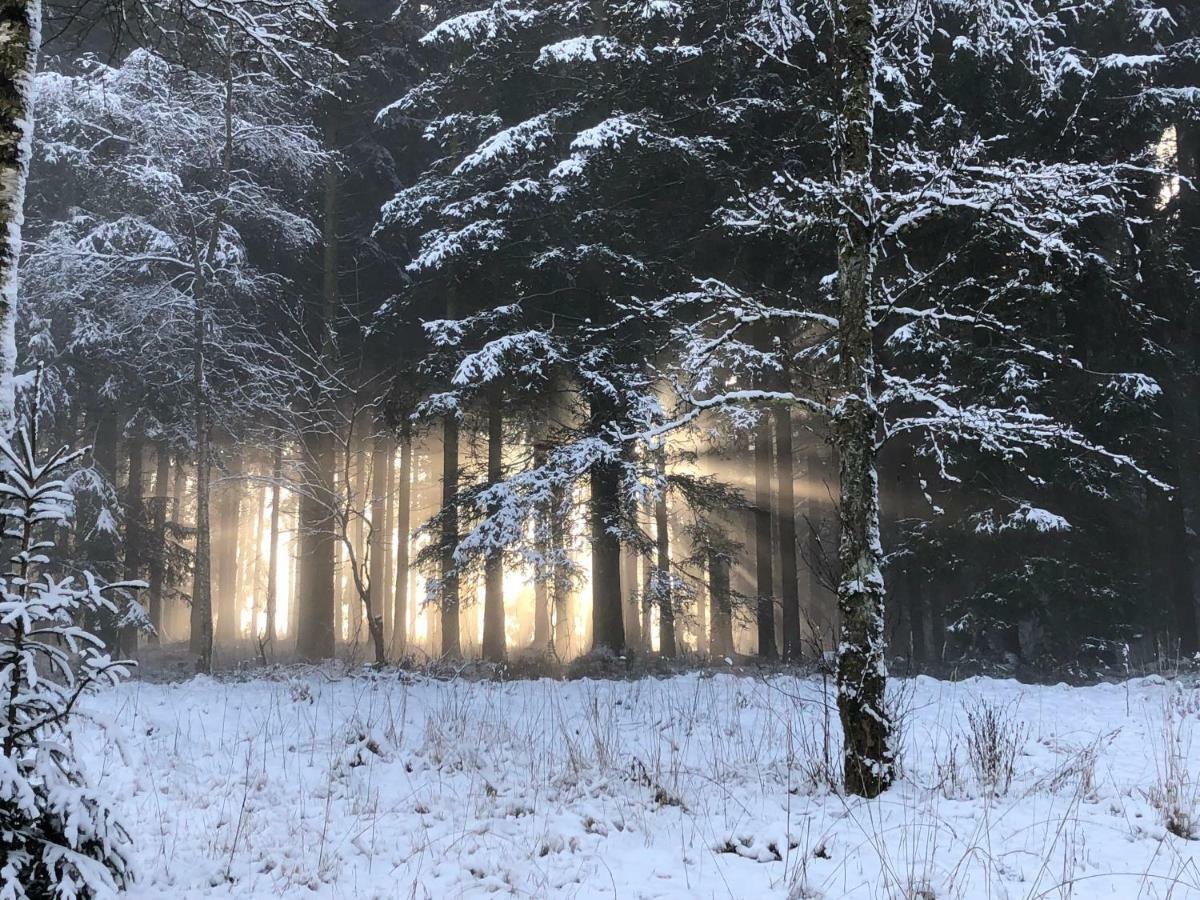 Fwv Chalet 2 Le Scandinave Бюллинген Экстерьер фото